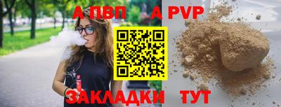 стаф Кандалакша