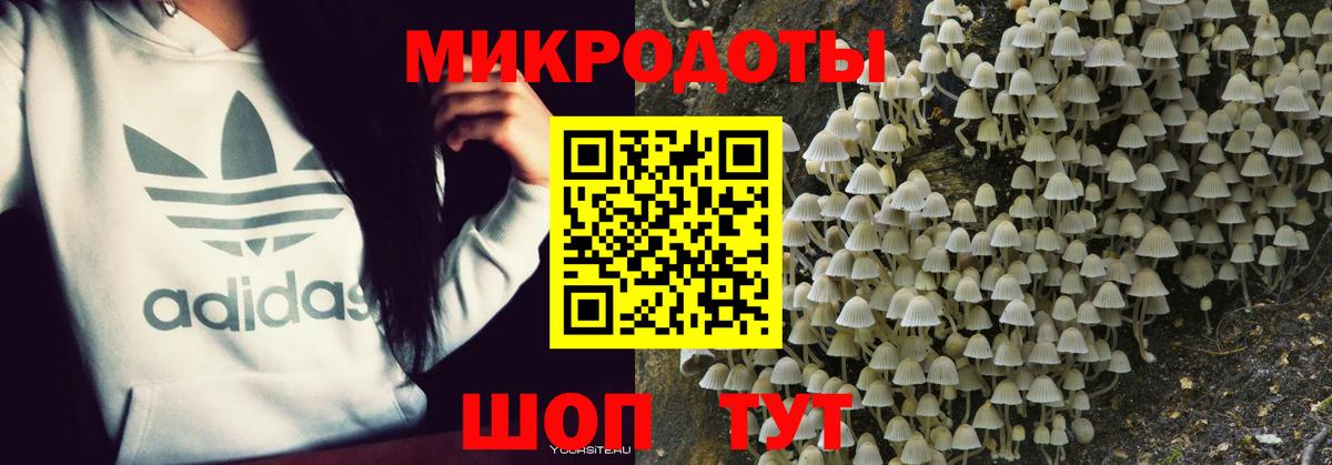 Псилоцибиновые грибы мицелий Мичуринск