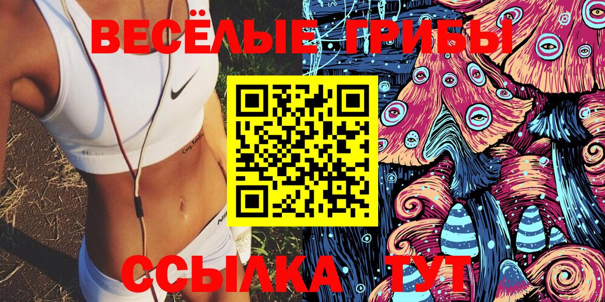 Псилоцибиновые грибы Magic Shrooms  Вход с VPN  где купить наркоту  Мичуринск  Галлюциногенные грибы мицелий 